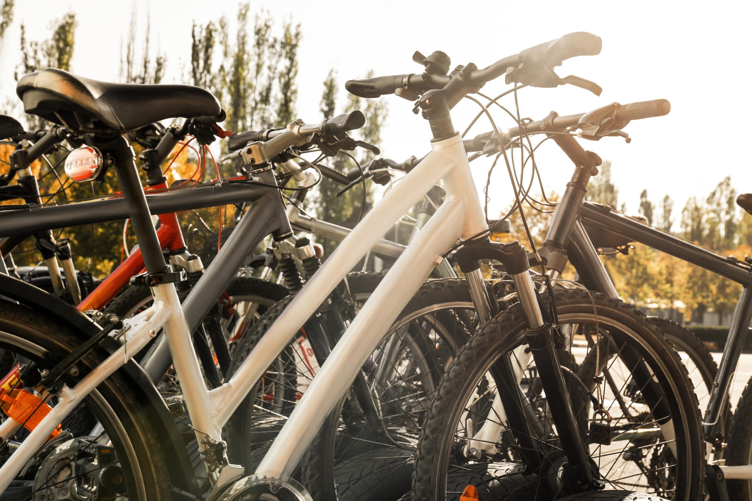 Empresas de alquiler de bicicletas turísticas