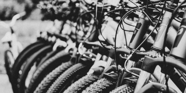 multibici-scaled